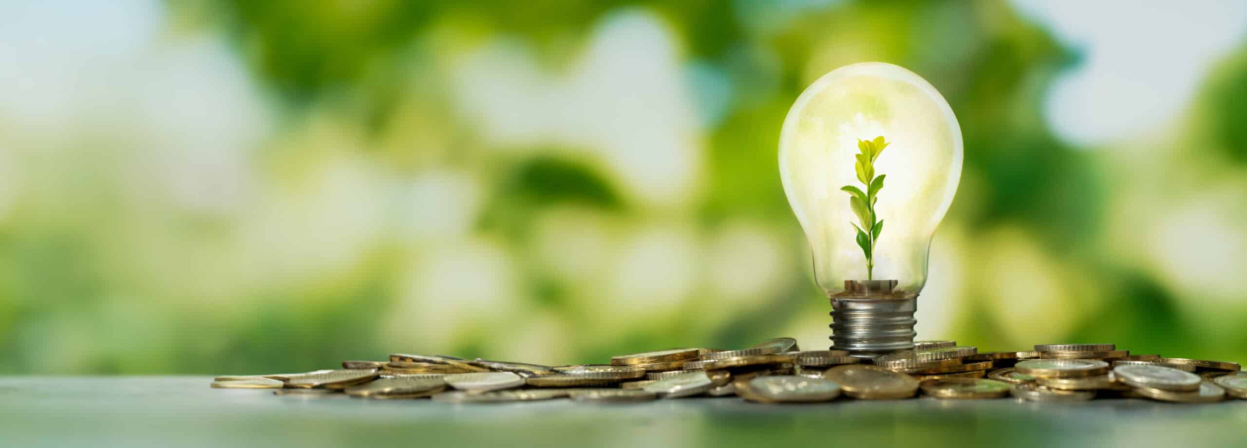 lightbulb and coins