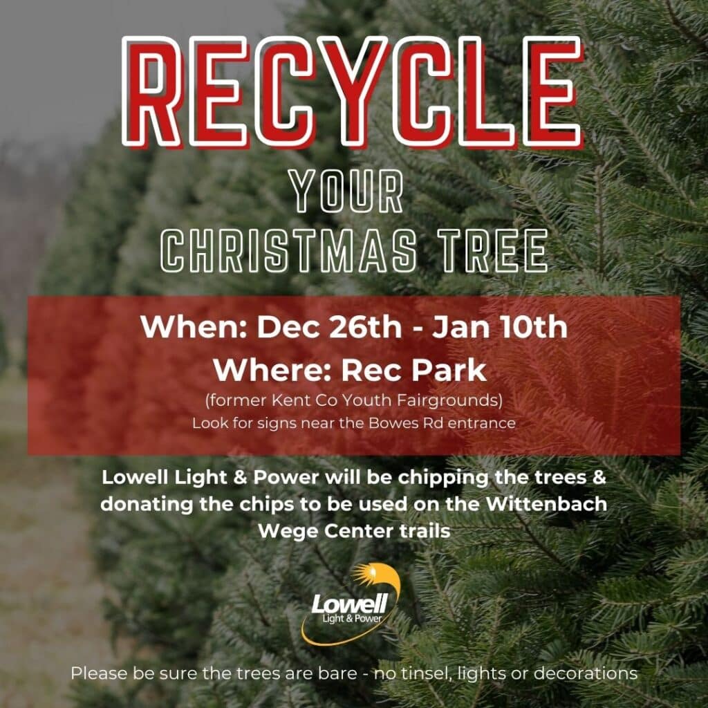 Recycle your Christmas tree